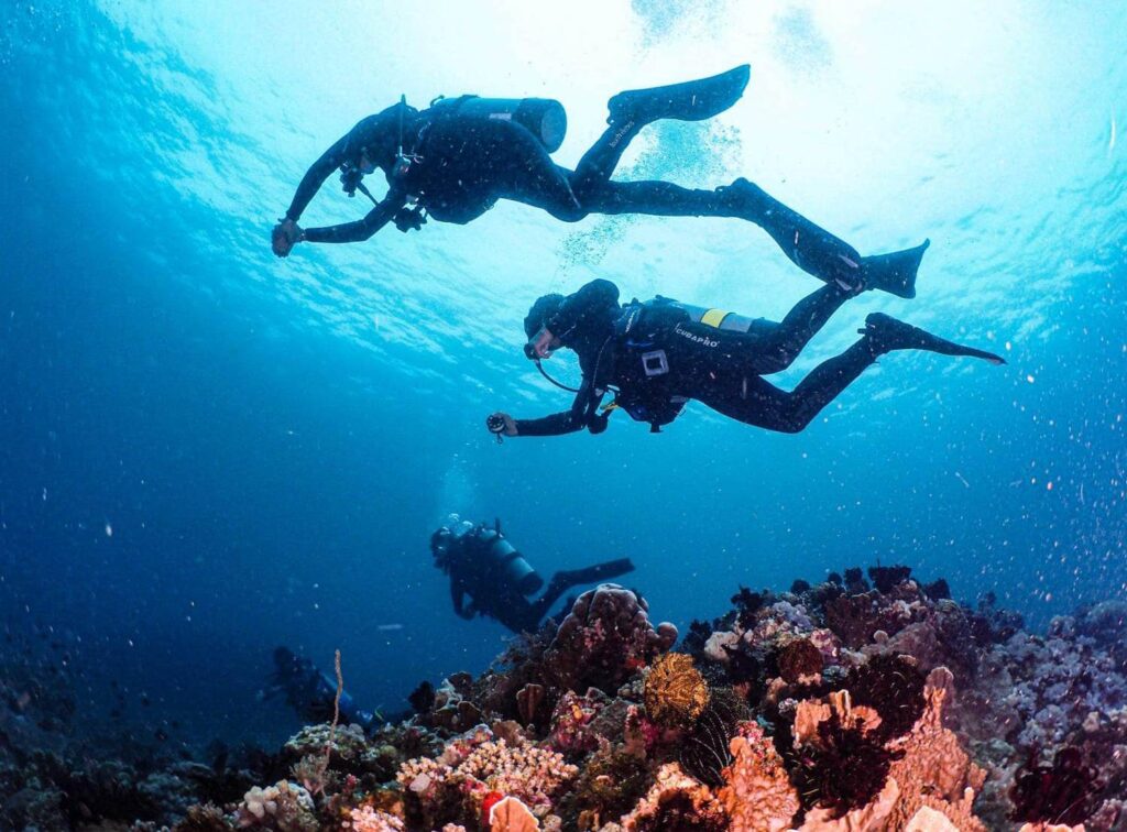 Diving sa Lalaguna Point (Department of Tourism)