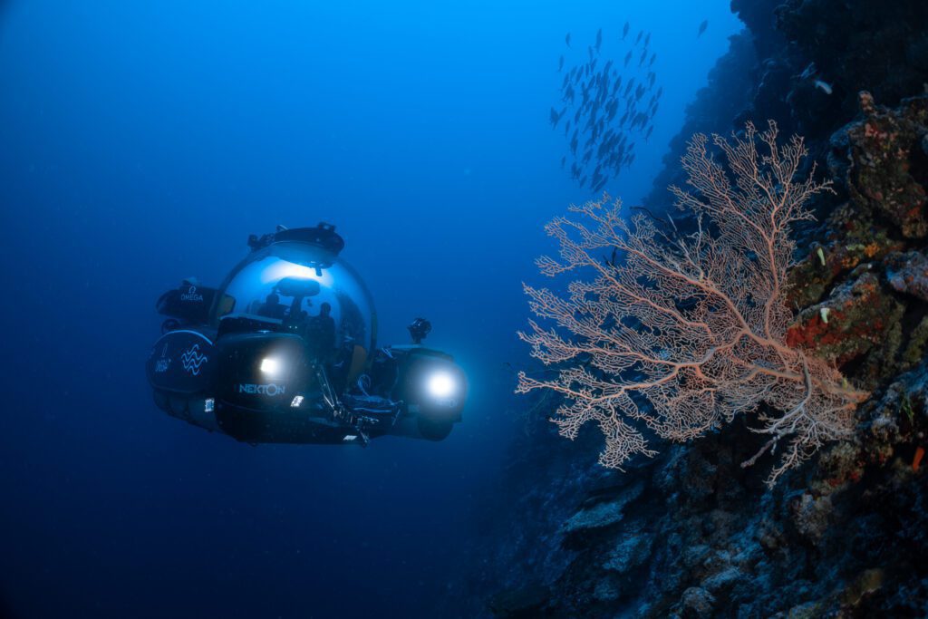 Scientists using a deep-sea submersibles to inspect coral reefs in the Maldives (Ocean Census)