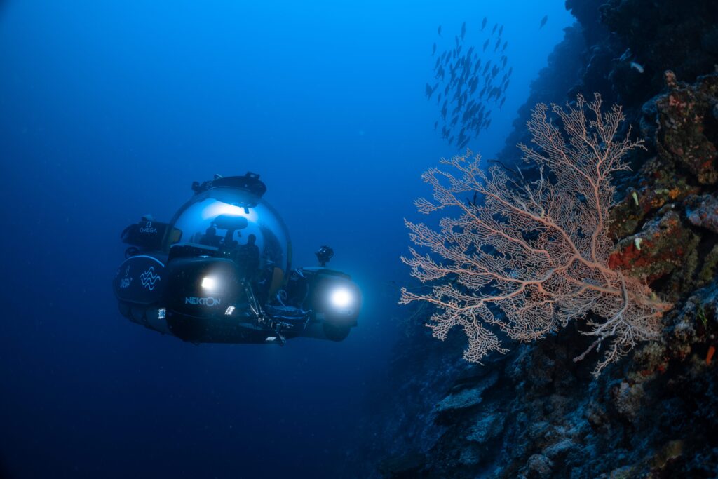 Znanstveniki z globokomorskimi podmornicami pregledujejo koralne grebene na Maldivih (popis oceanov)