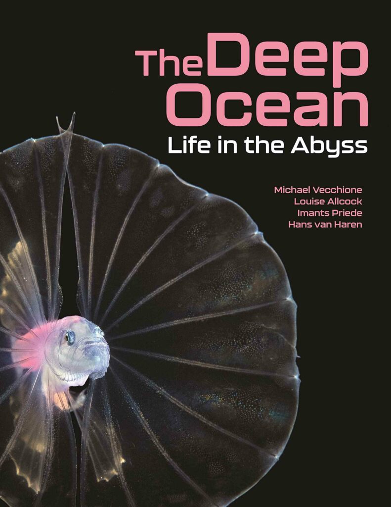 The Deep Ocean book cover