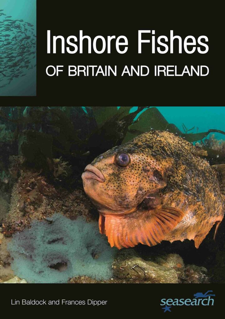 Inshore Fishes book cover