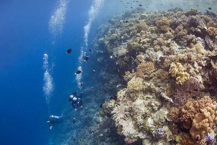 Wakatobi