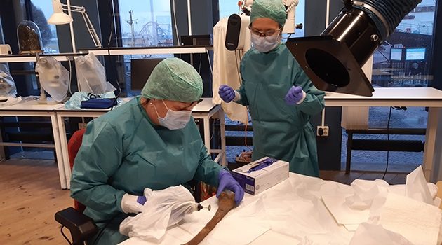 Marie Allen and the Vasa Museum's conservator Malin Sahlstedt work to extract DNA from part of a skeleton found on Vasa (Upsala University)