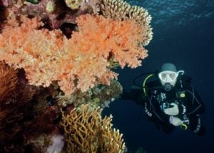 technical diving
