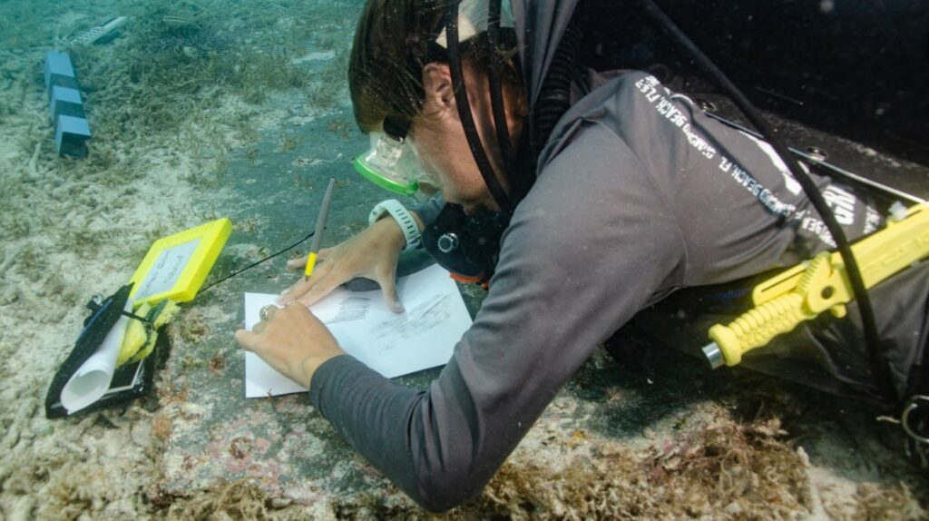 A diver takes a rubbing of the headstone inscription in the submerged cemetery (C Sproul / NPS)
