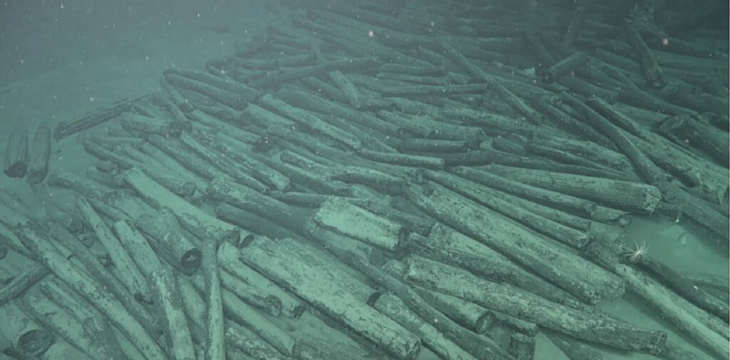 Timber logs on wreck No 2 (National Cultural Heritage Administration)