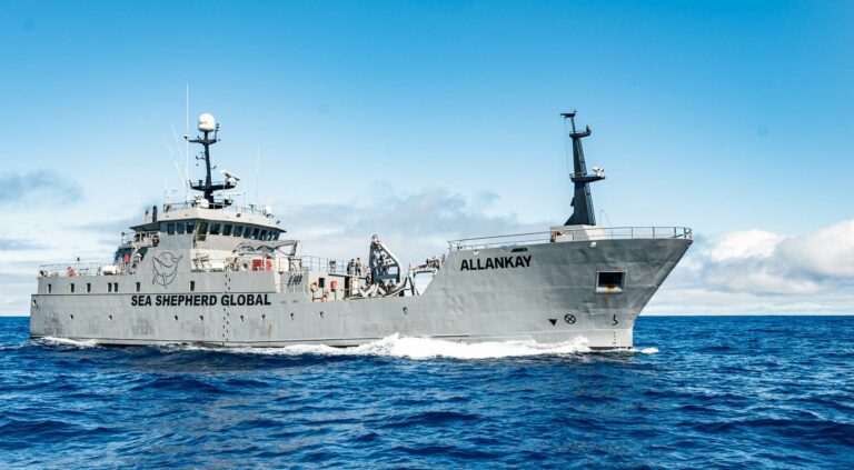 She Shepherd is sending its patrol vessel Allankay to Tuvalu (Sea Shepherd)