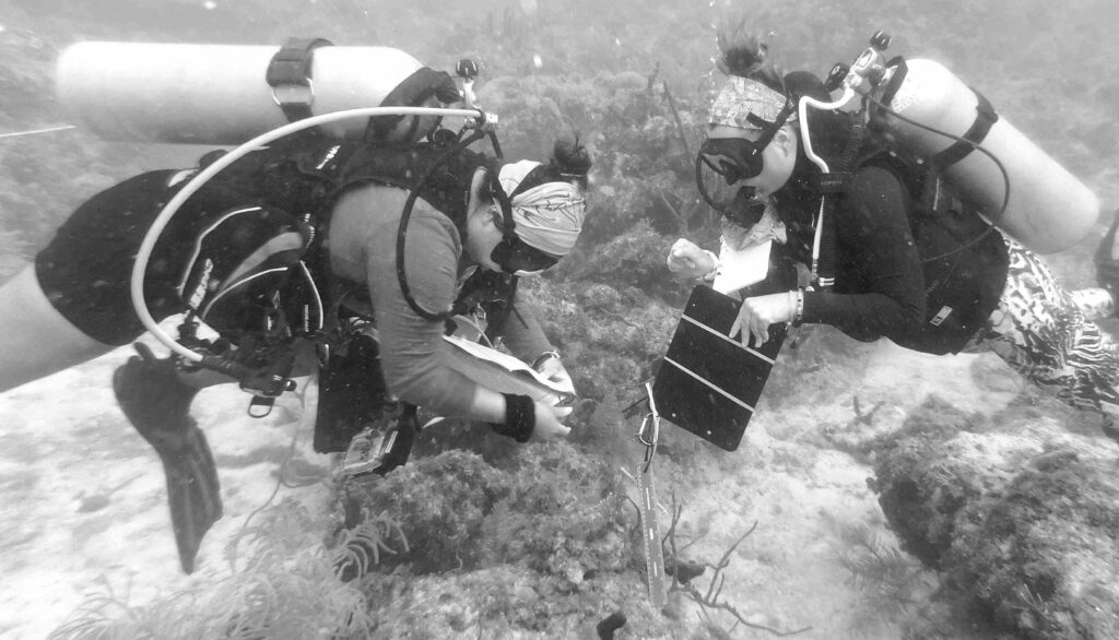 Pasantes de I.CARE monitoreando corales plantados