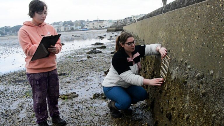 Jess Bone (right) has been surveying the rock pools for the past three years