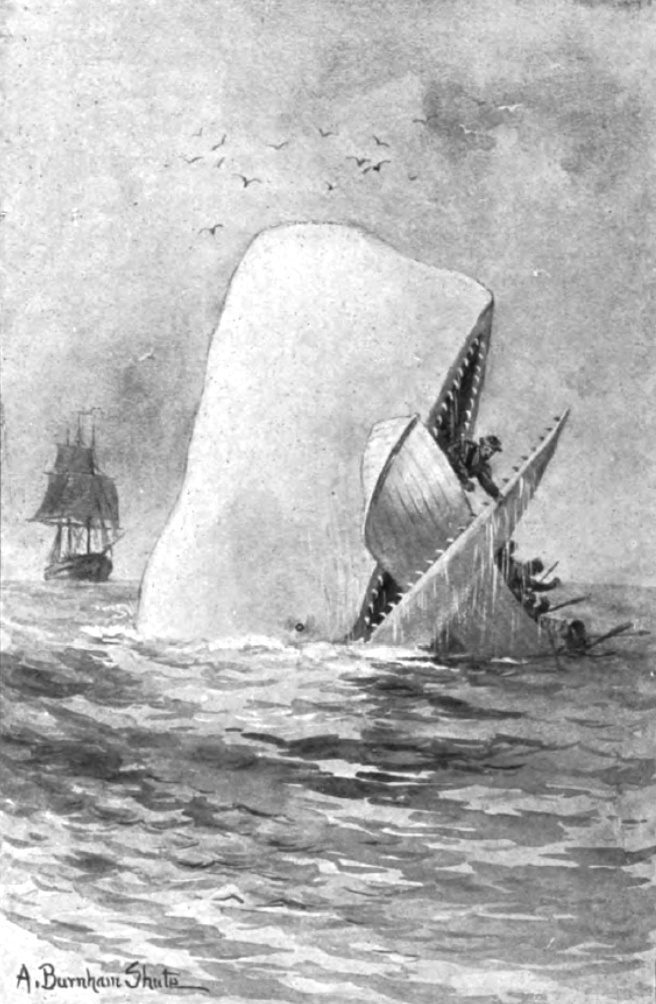 Early illustration from Herman Melville’s Moby Dick