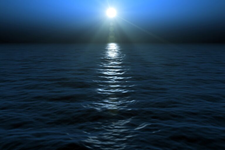 Ocean in moonlight -pollutants lurk in the depths