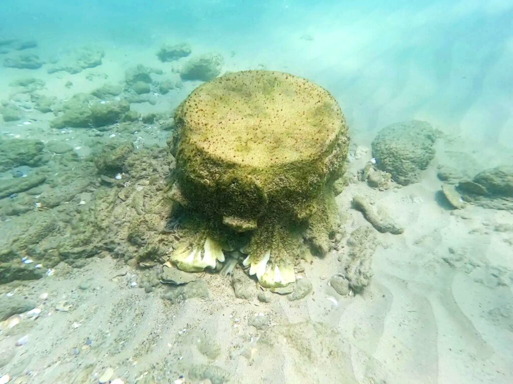 Maža, bet išbaigta marmurinė kolona