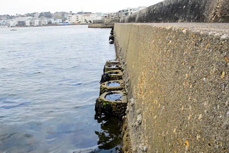 Artificial rockpools are finding plenty of takers