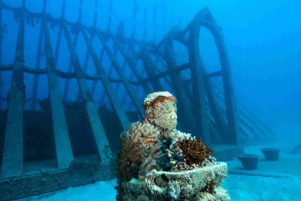 Colonisation taking place at the Coral Greenhouse (Jason deCaires Taylor)