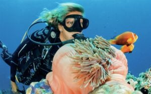 Scuba diver near coral