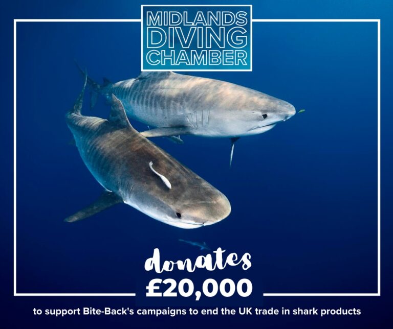 Midlands Diving Chamber donation to Bite-Back