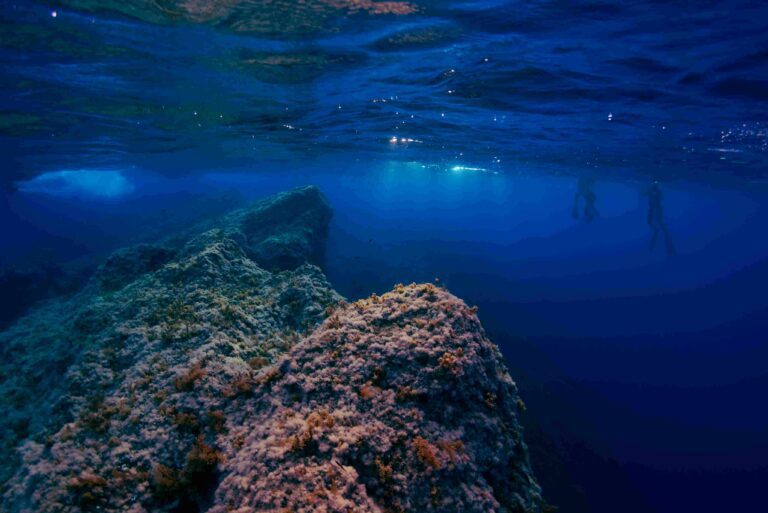 Rocky features can be seen just beneath the surface of Keith Reef (Angel Fitor / UNESCO)