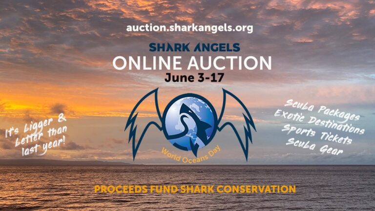 Shark Angels auction banner