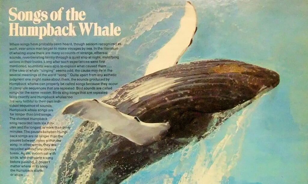 Cover of the influential whale song album