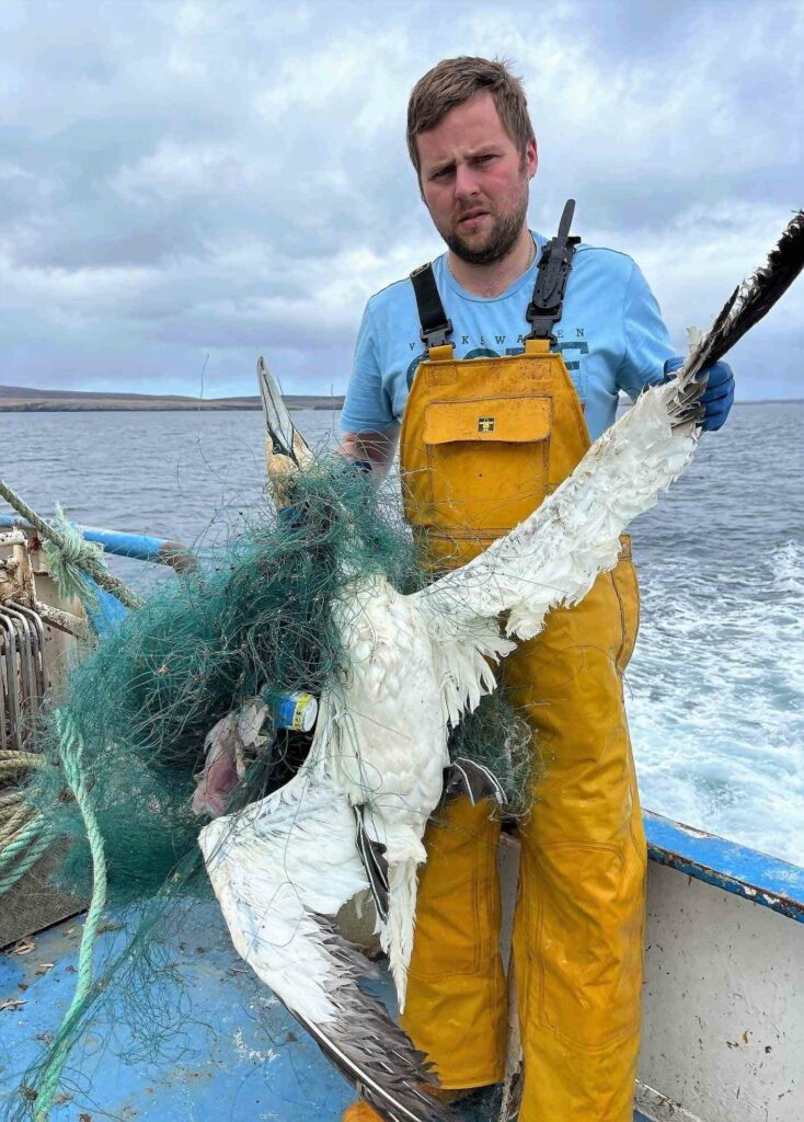 Diving seabirds also come to grief in ghost-nets (Fishing Forward)