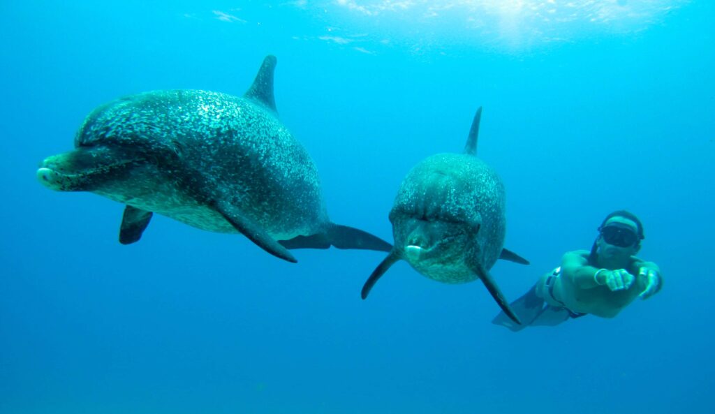 Broken Breath, part of the Ocean Film Festival