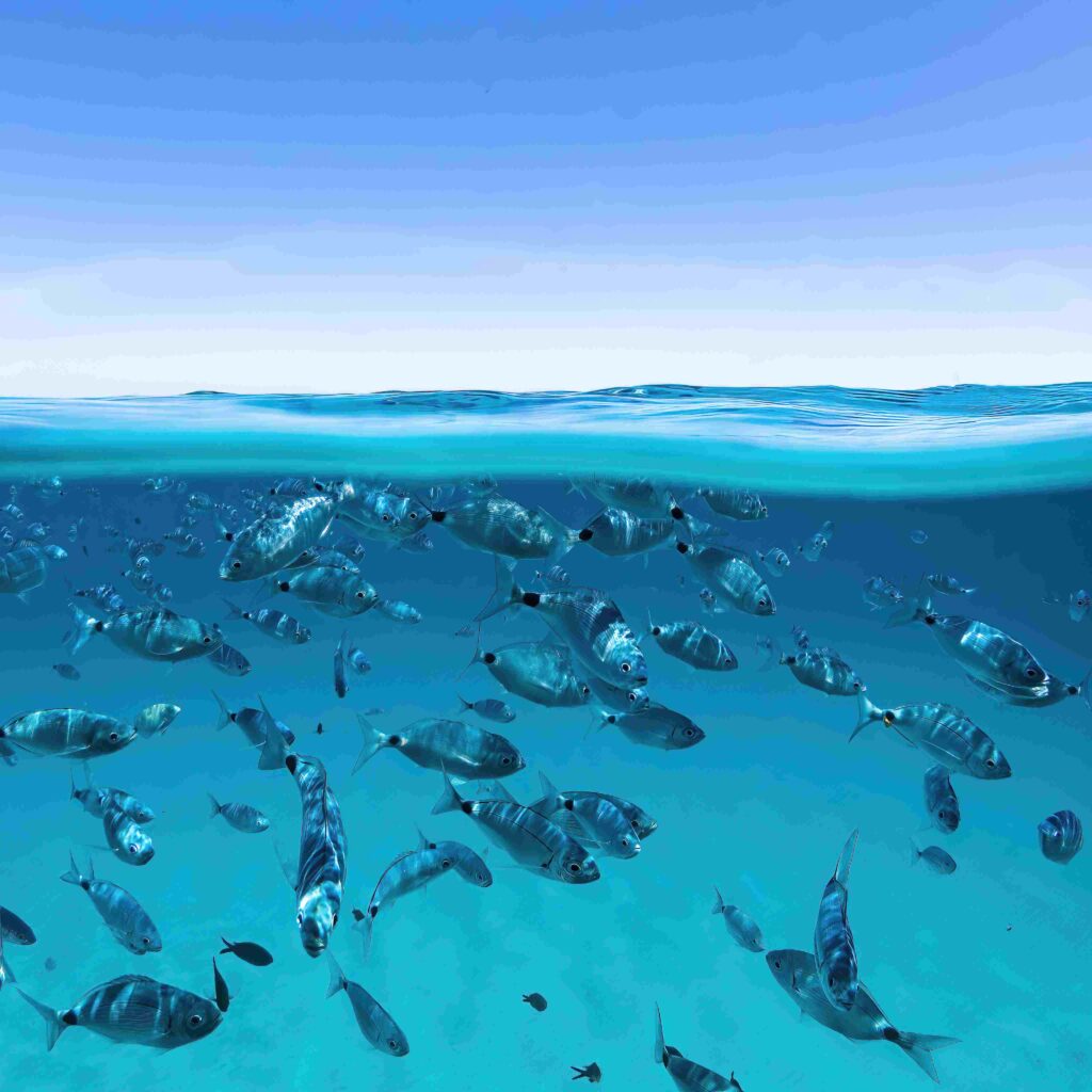 Sardinia Seascape (Lorenzo Ragazzi)