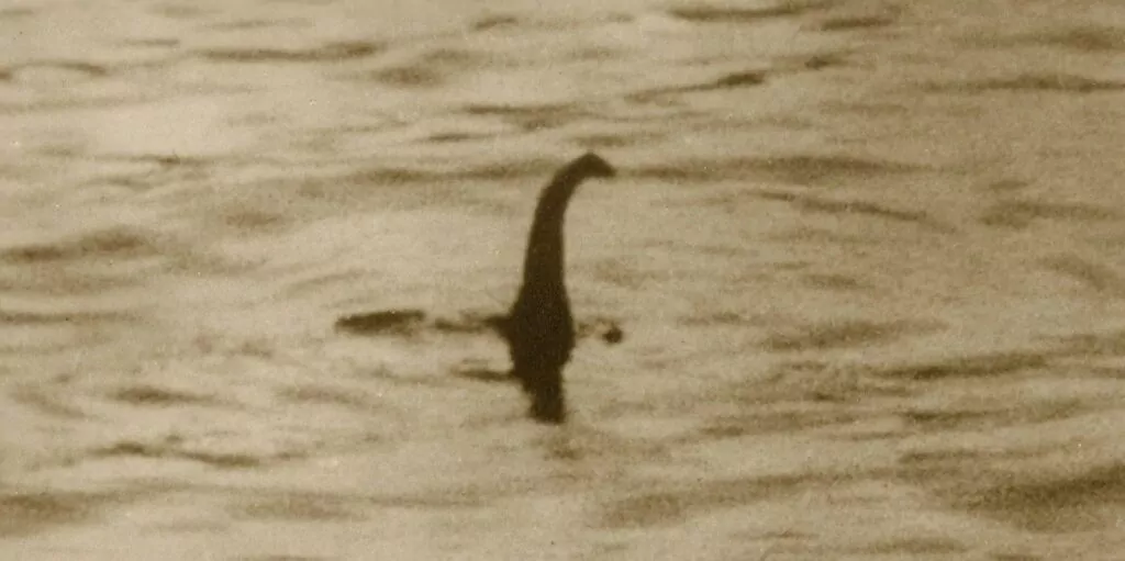 Rise & fall of the Loch Ness Monster eel