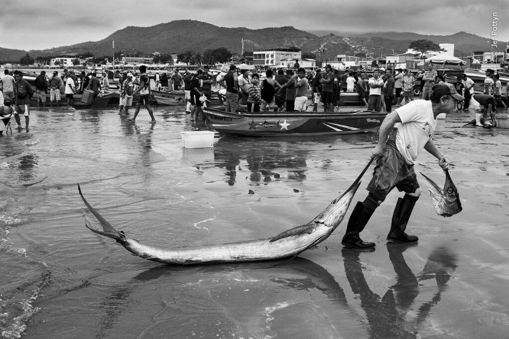 Prize Catch (© Jef Pattyn / Wildlife Photographer of the Year)