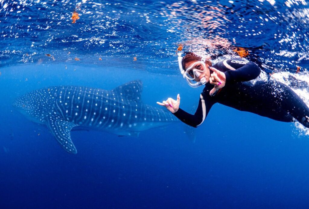 Whale shark in western Australia (Andi Cross)