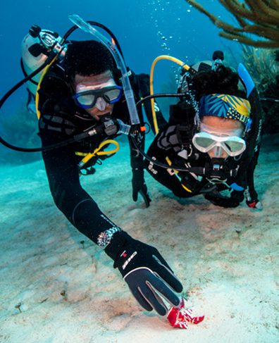 Hurghada clean-up (Atlantis tempts family divers feature)