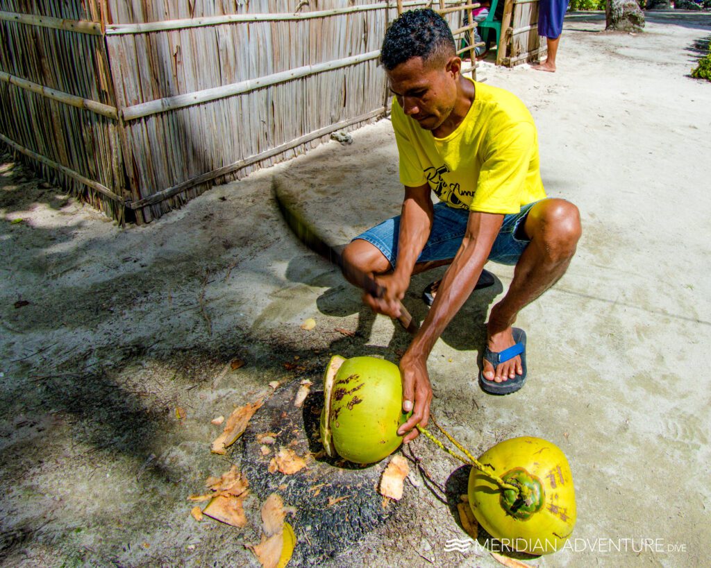 Health Benefits of Coconuts for Divers