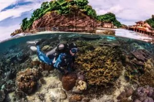 Nurkowie mogą teraz uzyskać certyfikat Ocean AWARE (PADI AWARE)