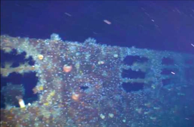 Railing on starboard side of the Snowy Grouper Wreck (NOAA Fisheries SEFSC)