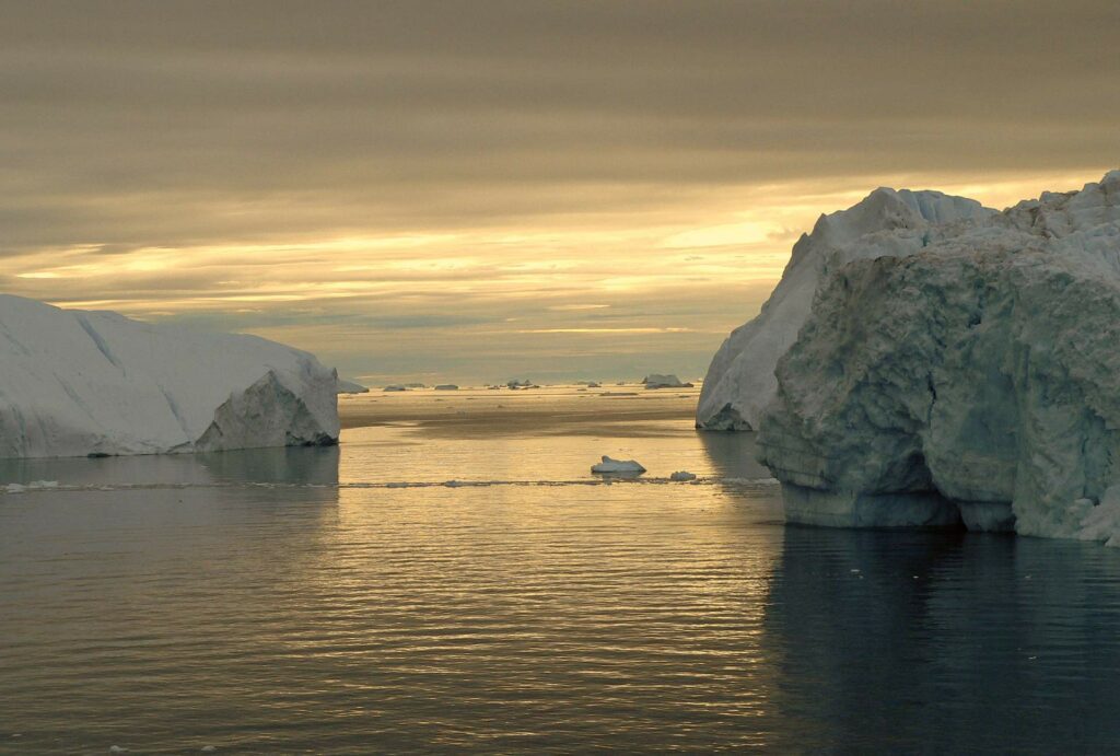 Ilulissat icefjord is home to Kangia ringed seals (Jens Bludau)
