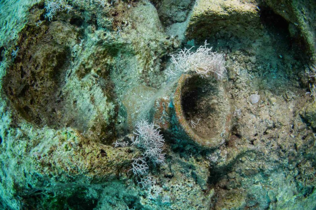 An ancient pot Nigam found among the lionfish is a remnant of past civilisations and a reminder of human
