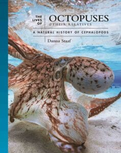 The Lives Of Octopuses