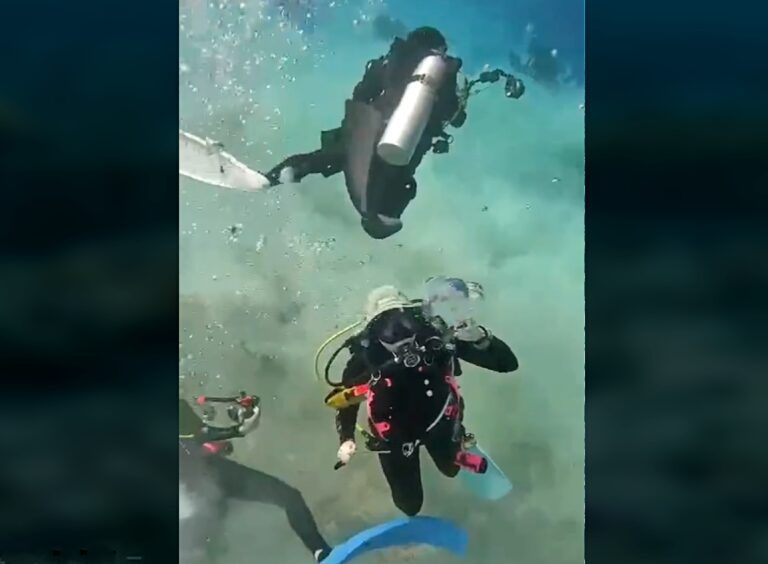 Divers experience the shock of an underwater earthquake (@redoyjoy9999)