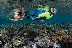 O mergulho com snorkel ao entardecer no Wakatobi Dive Resort mostra o recife durante um período de intensa atividade.