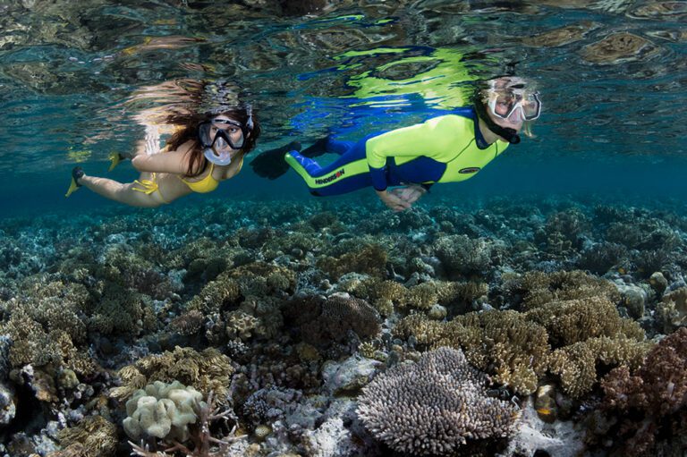 Twilight snorkeling at Wakatobi Dive Resort showcases the reef during a period of heightened activity.