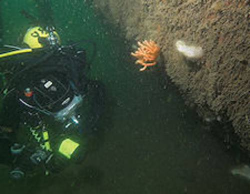 Eingestürzte Überreste des Glaucus-Habitats, die in den 1960er Jahren für ein lebendes Unterwasserexperiment genutzt wurden.