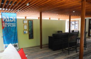 PADI demands excusivity in the Red Sea and Gulf: A PADI dive-centre