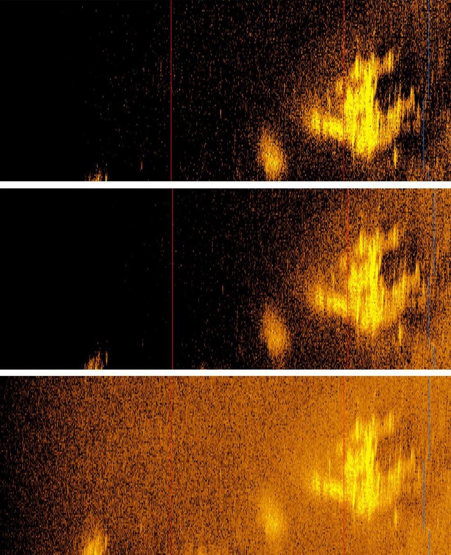 Sonar images of the suspected plane wreck (Deep Sea Vision)