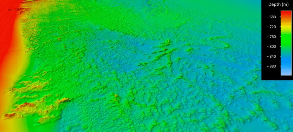 Multibeam bathymetry data showing deep coral-mound features on Blake Plateau (Sowers et al)