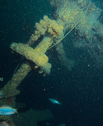 The rudder-shaft has pushed up through the stern
