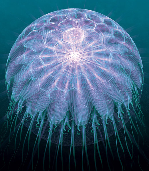 A água-viva Mandelbrot nos lembra que a natureza é simétrica e fractal