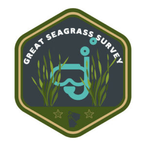 Great Seagrass Survey logo