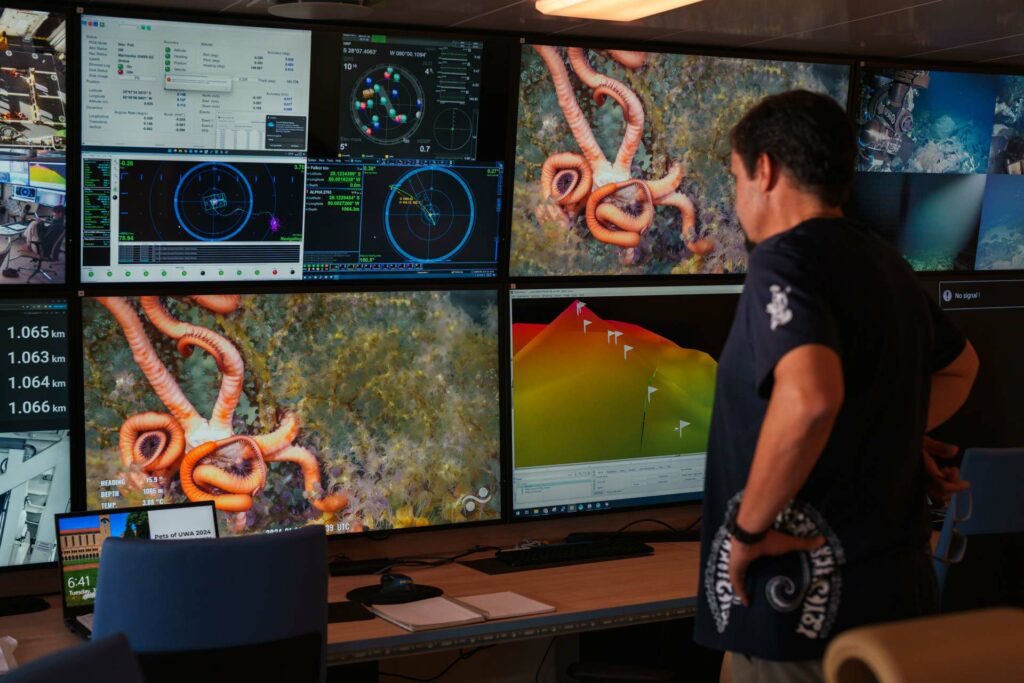 On the first dive to an unexplored seamount, Javier Sellanes is left stunned by its incredible biodiversity (Alex Ingle : Schmidt Ocean Institute CC BY-NC-SA)