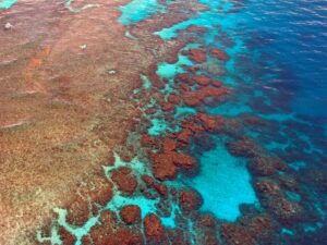 Sebahagian daripada Great Barrier Reef (PickPik)