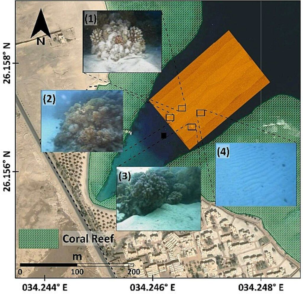 ROV фотография, валидираща данни за акустична мозайка в полузатворения залив на входа на древното пристанище (NIOF)