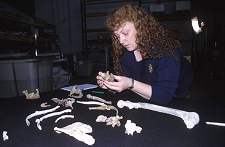 Forensic anthropologist Dr Sue Black examines the remains of one of the wreck's victims